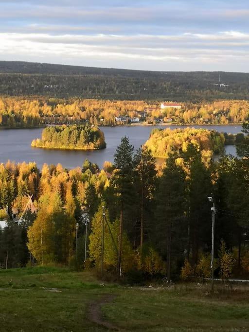 Villa Omaloma Ulkoilijan Unelma Rovaniemi Eksteriør bilde